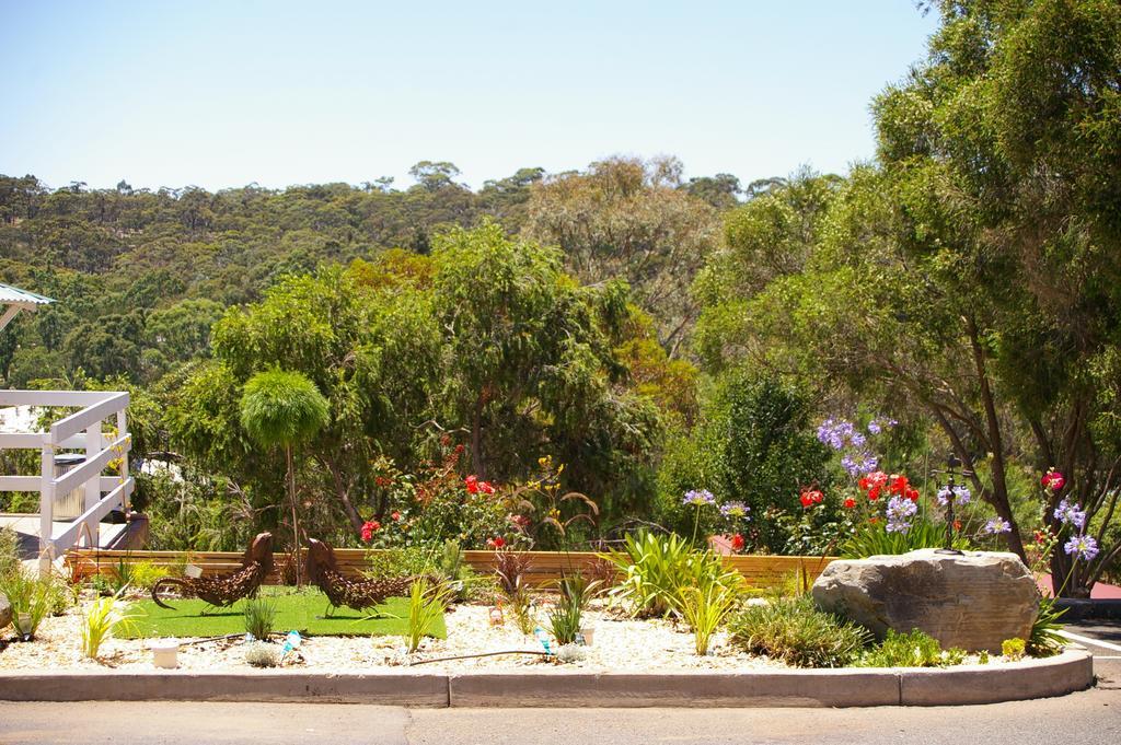 Clare Valley Motel Extérieur photo