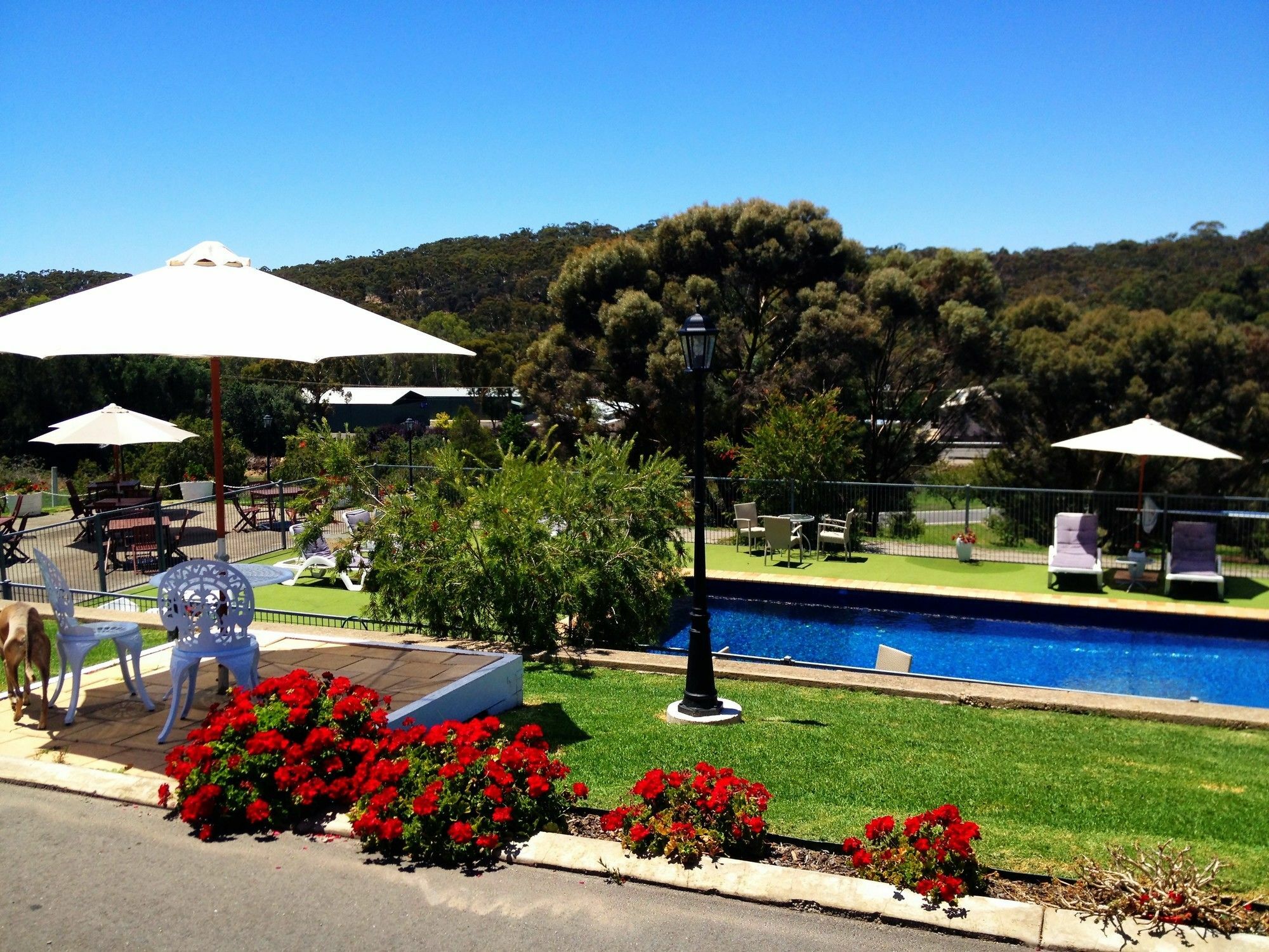 Clare Valley Motel Extérieur photo