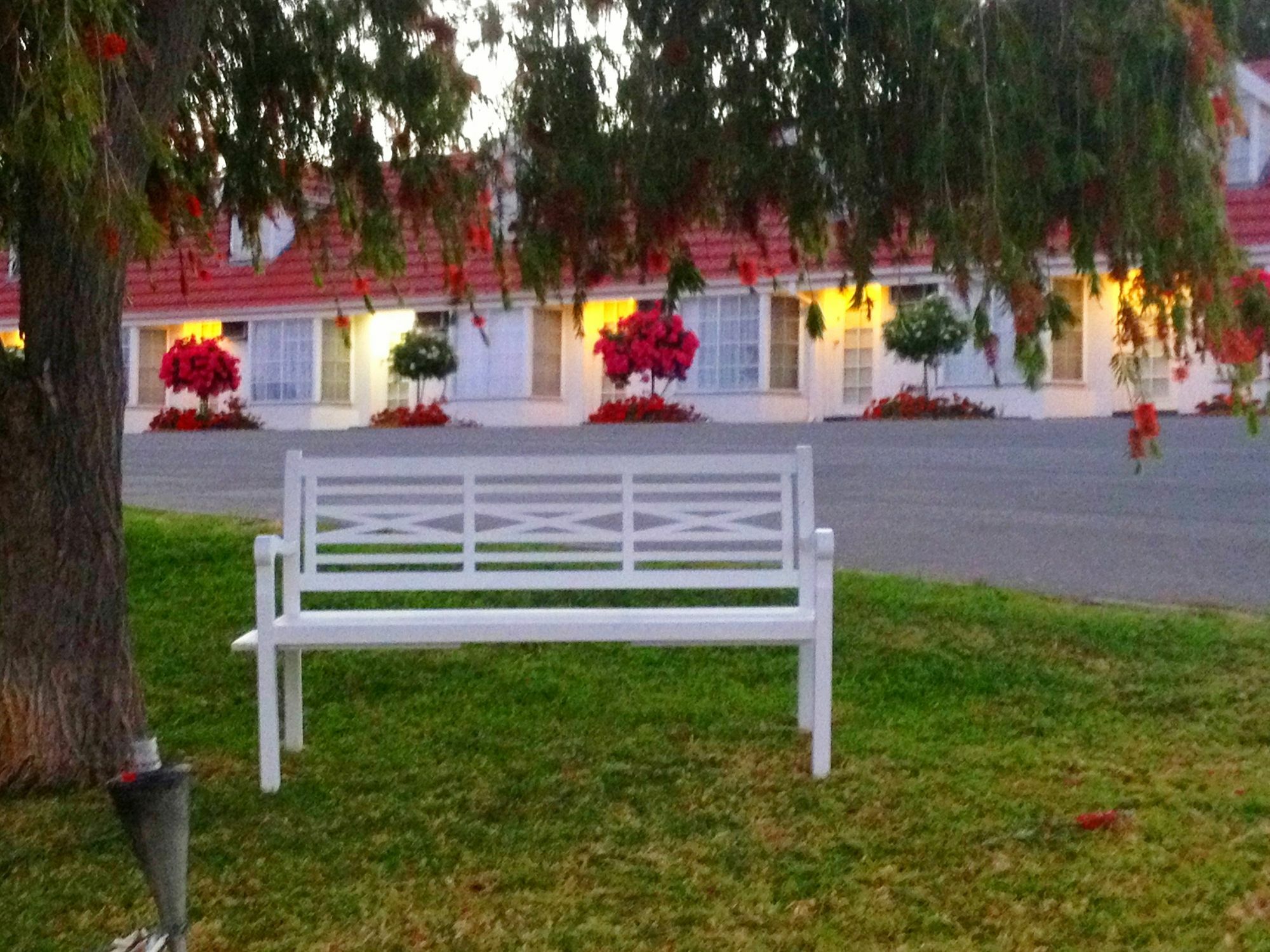Clare Valley Motel Extérieur photo